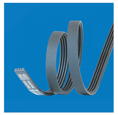 Poly V Belt